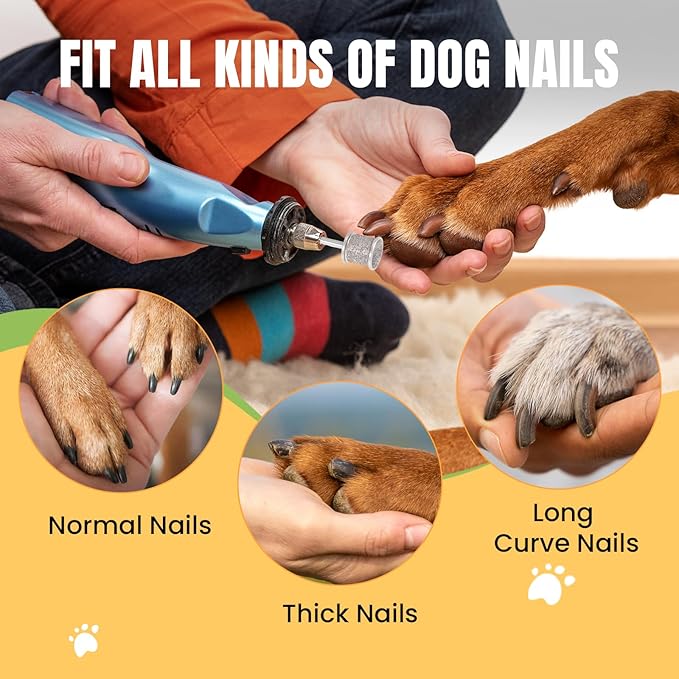 CAELUM 2Pack Diamond-Coated Pet Nail Grinder Bits, Dual Grit for Large &amp; Small Dogs, 1/8” Shank for Dremel Nail Tools, Low Noise, Durable Nail Trimmer for Dogs, Top &amp; Side Grinding