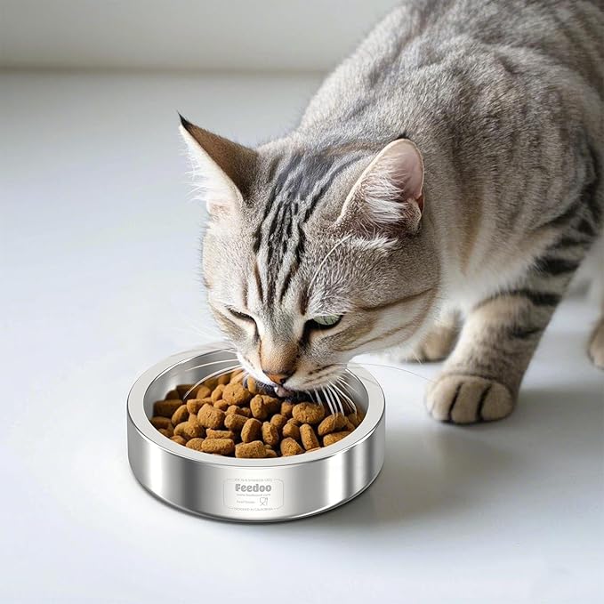 20oz Stainless Steel Cat Food &amp; Water Bowl - Double Walled 304 Stainless Steel Non-Slip Cat Dish | BPA-Free &amp; Dishwasher Safe for Indoor Cats