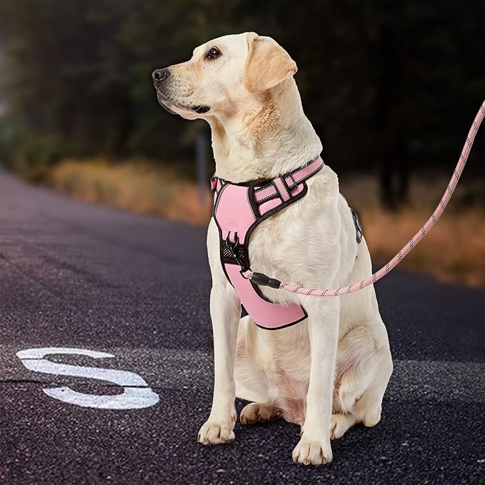 IVY&amp;LANE No Pull Dog Harness for Small Dogs, Dog Vest Harness with Leash, Safety Belt and Storage Strap, Fully Adjustable, 360 Reflective Strip, Soft Handle (Pink, S)