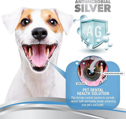 PetSilver Teeth &amp; Gum Water Additive for Dental Care - Pet Breath Freshener - Targets Tartar, Plaque &amp; Eliminates Bad Breath - Dog Oral Care &amp; Cat Teeth Cleaning - No Brushing &amp; Tasteless - 12 fl oz