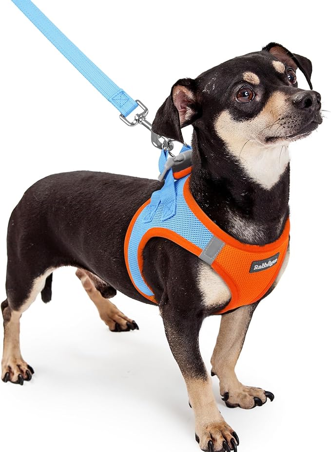 rabbitgoo Dog Harness Small Sized and Leash Set, Step in Soft Light Puppy Vest, Breathable Mesh Pet Harness, Reflective for Safe Easy Walking, Blue &amp; Orange XXXS