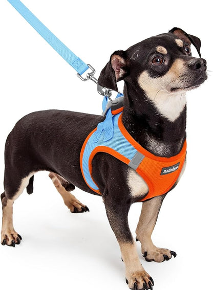 rabbitgoo Dog Harness Small Sized and Leash Set, Step in Soft Light Puppy Vest, Breathable Mesh Pet Harness, Reflective for Safe Easy Walking, Blue &amp; Orange XXXS