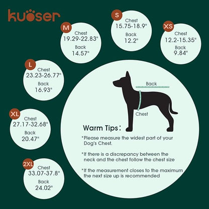 Kuoser Dog Surgery Recovery Suit - Thigh Wound Protective Sleeve for Female &amp; Male Dogs, Pet Surgical Onesie for Spay/Neuter, Gray XL