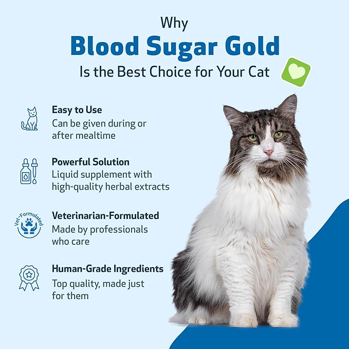 Pet Wellbeing - Blood Sugar Gold for Cats - Natural Support for Healthy Blood Sugar Levels in Diabetic Cats - Insulin Stabilization &amp; Normal Pancreatic Function - 2 oz (59 ml)
