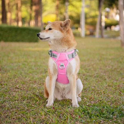 PHOEPET No Pull Dog Harness, Unique Colors Reflective Adjustable Dog Vest, with Soft Training Handle Metal Clips for Small Medium Large Dogs (Baby Pink Base &amp; Grey Straps,XL)