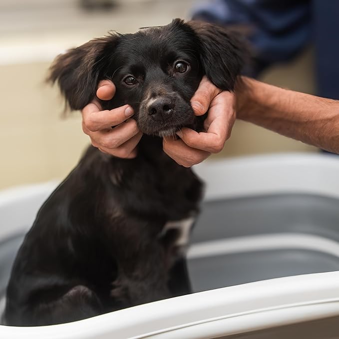 Smoochie Collapsible Pet Bathtub &amp; Washing Station – Portable, Space-Saving Tub for Dogs &amp; Cats, Indoor &amp; Outdoor Grooming