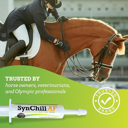 SynChill AF Calming Gel for Nervous Horses - Single Serving - Advanced Formula with L-Theanine, Increased Potency, 100% Natural Supplement, Disposition &amp; Confidence Support for Horses