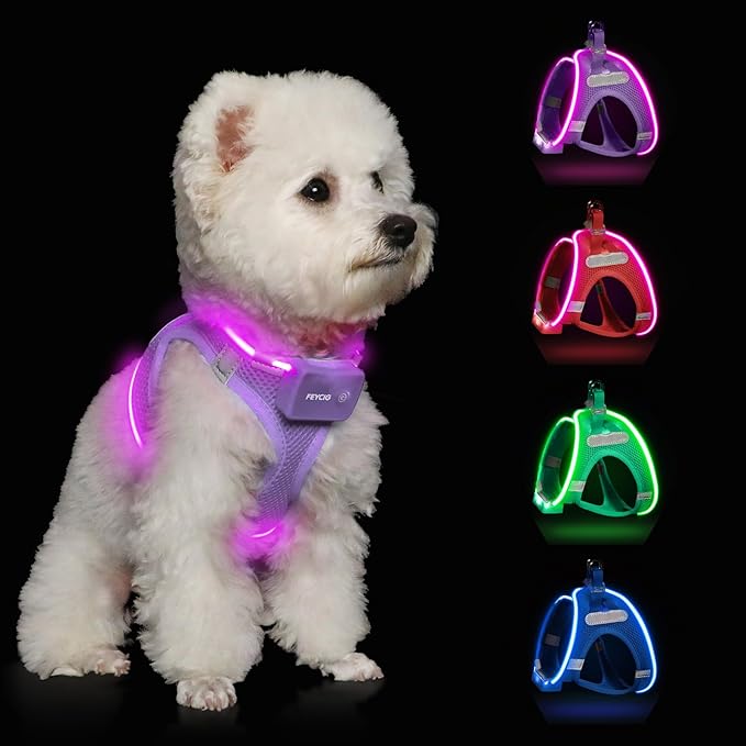 Light Up Dog Harness,Rechargeable LED Dog Harness for Small Medium Large Dogs,Reflective Lighted Safety Vest for Night Walking &amp; Camping,Lightweight &amp; Adjustable,Lavender Purple,XS