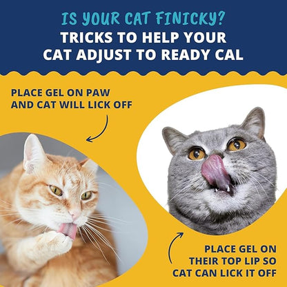 Under The Weather Pet | Ready Cal for Cats 100cc | High Calorie Supplement | Cat Weight Gainer and High Calorie Booster | 10 Vitamins, 7 Minerals &amp; Omega Fatty Acids (2 Pack)