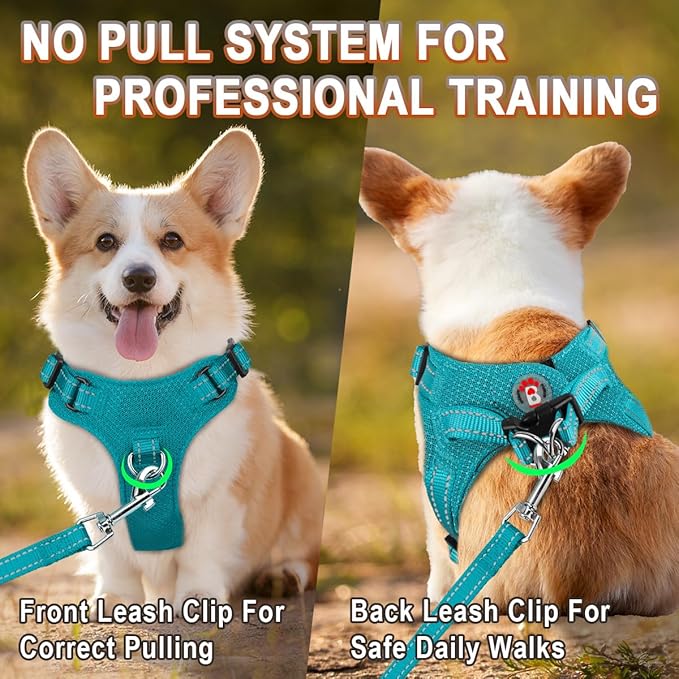 Dog Harness Step in Dog Vest Harness, Reflective Adjustable Puppy No Pull Harness Breathable Soft for Small and Medium Dogs Cats, Ocean Blue, XXS