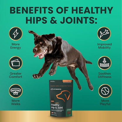 VetriScience Ultimate Strength Healthy Hip &amp; Joint Chews, GlycoFlex Glucosamine, Chondroitin and Green-Lipped Mussel Joint Support Supplement for Dogs, Soothe Joint Discomfort, Duck, 120 Count