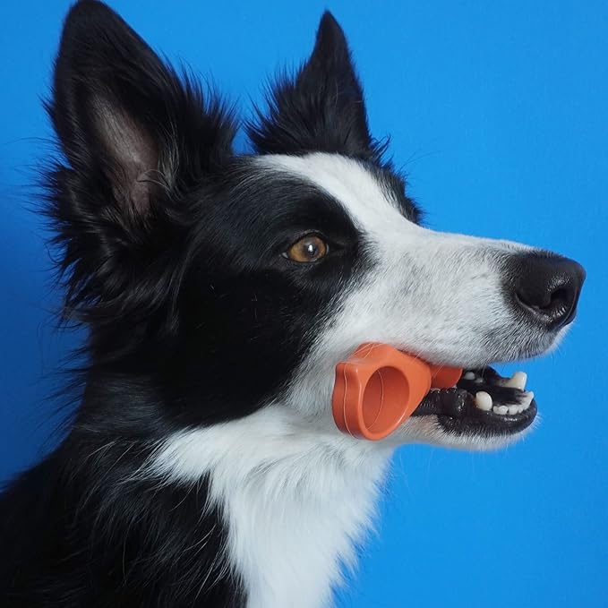 Pet Toothbrushing Assistant for Puppies&