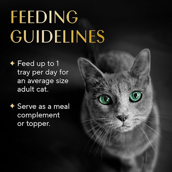 Sheba Selections Filets in Broth Adult Wet Cat Meal Complement Chicken &amp; Shrimp Recipe, 1.3 oz. Cups, 12 Count