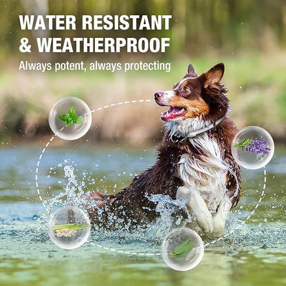 EcoVenger Flea &amp; Tick Collar Repellent 2-Pack White, Fits Both Dogs &amp; Cats, Built-in Pant-Based Formula Strong Repellency Slow Release, Lasting Deterrence and Protection, Pleasant Aroma, Waterproof