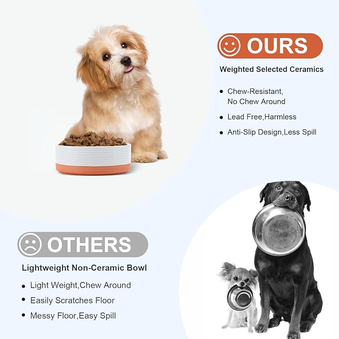 SPUNKYJUNKY Ceramic Dog and Cat Bowls 2 Pack, 5.1&