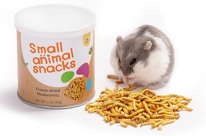Niteangel Small Animal Snack &amp; Treats Toy - Small Critter Natural Treat for Dwarf Syrian Robo Hamsters Gerbils Mice Lemmings Sugar Glider Hedgehogs Chickens Birds or Other Small-Sized Pets