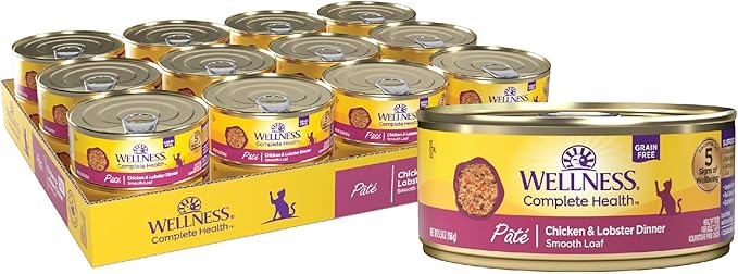 Wellness Complete Health Natural Grain Free Wet Canned Cat Food, Chicken &amp; Lobster Pate, 5-Ounce Can (Pack of 24)