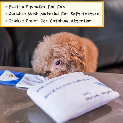 Hong Kong Airmail Soft Plush Nose-Work Squeaky Dog Toy - Durable &amp; Cute 2-in-1 Envelope &amp; Letter for Interactive Play, Extendable Cloth to Hide Food for Puzzle Fun, Small Medium Dogs