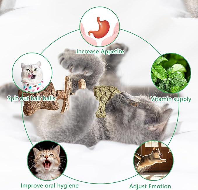 3 Pack Catnip Toys, Healthy Cat &amp; Kitten Teeth Cleaning Dental Chew Toy, Contain Catnip, Natural Silvervine, and Gall Fruit, Interactive Cat Toys for Indoor Cats, are Edible for All Cats Breeds