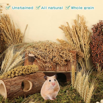 Hamster Spray Set - Natural Snack Grains &amp; Chew Toys for Cage Decoration Accessories, Soft Bedding for Dwarf Syrian Hamsters, Gerbils, Mice &amp; Small Pets
