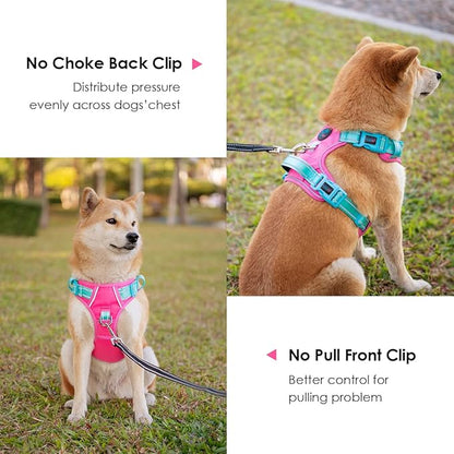 PHOEPET No Pull Dog Harness, Unique Colors Reflective Adjustable Dog Vest, with Soft Training Handle Metal Clips for Small Medium Large Dogs (Pink Base &amp; Green Straps,XS)