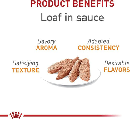 Royal Canin Feline Care Nutrition Hair &amp; Skin Care Loaf in Sauce Canned Cat Food, 5.1 oz can (24-count)