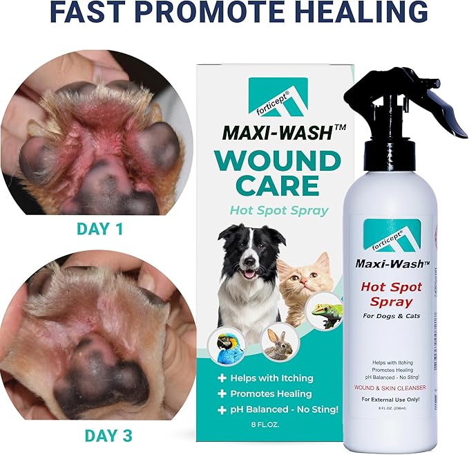 Forticept Maxi-Wash Hot Spot Spray Treatment, Wound Care &amp; Itch Relief Spray for Dogs and Cats. Relives Scratching, Rashes, Sores, Itchy Skin and Paw Licking 8 oz