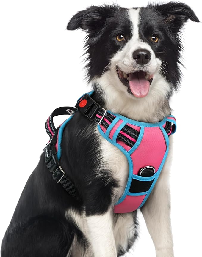 rabbitgoo Dog Harness Medium Sized, No Pull Dog Vest with 3 Buckles, Adjustable Soft Padded Pet Harness with Easy Control Handle and Reflective Strips, Rose Pink &amp; Blue, M