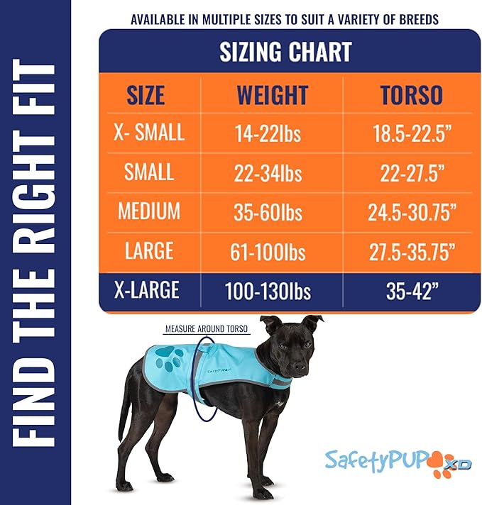 Dog Reflective Vest – Hi-Vis Fluorescent Visibility That Helps to Safeguard Your Pet On/Off Leash in Urban &amp; Rural Areas (Teal, X-Large)