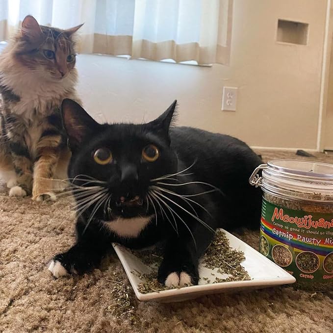 Meowijuana Catnibas Catnip Pawty Mix Jar | Premium Cat Nip for Cats with Silvervine, Passion Flower, Chamomile, Dandelion &amp; Valerian Root | High Potency Catnip | 60g