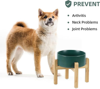 Ceramic Elevated Dog Bowl Set, Food and Water Bowl for Medium Dogs, Weighted Dishes, Green (7.3&