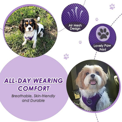Lukovee Dog Seat Belt for Car, Adjustable Dog Car Harness for Large Medium Small Dogs, Soft Padded &amp; Breathable Mesh Dog Seatbelt with Car Vehicle Connector Strap (Purple,XXX-Small)