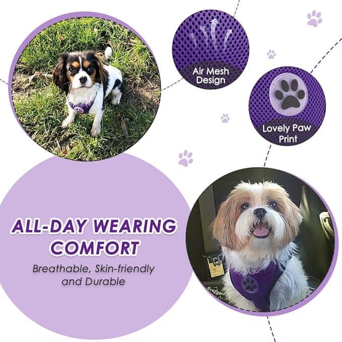Lukovee Dog Seat Belt for Car, Adjustable Dog Car Harness for Large Medium Small Dogs, Soft Padded &amp; Breathable Mesh Dog Seatbelt with Car Vehicle Connector Strap (Purple,X-Small)