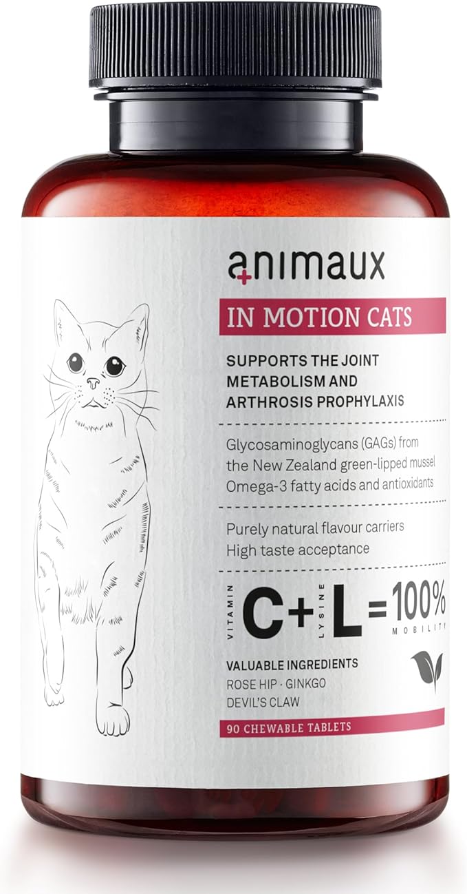 animaux - in Motion Cats, Green-lipped Mussel, Devil&