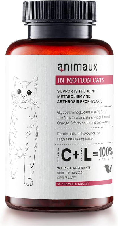 animaux - in Motion Cats, Green-lipped Mussel, Devil&
