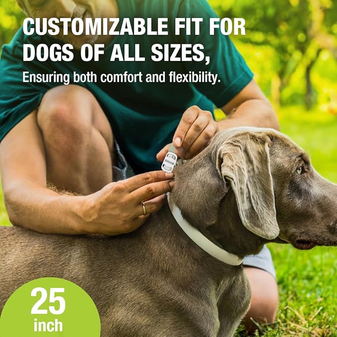 EcoVenger Flea &amp; Tick Collar Repellent 2-Pack White, Fits Both Dogs &amp; Cats, Built-in Pant-Based Formula Strong Repellency Slow Release, Lasting Deterrence and Protection, Pleasant Aroma, Waterproof