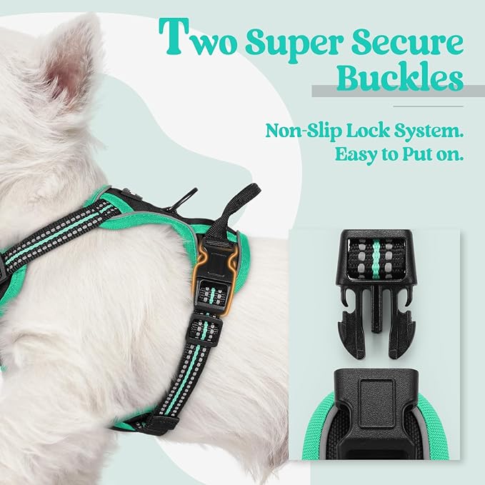 rabbitgoo Dog Harness No Pull with 2 Leash Clips, Adjustable Soft Padded, Reflective Oxford No Choke Pet Vest with Easy Control Handle for Puppy, Black &amp; Turquoise, XS