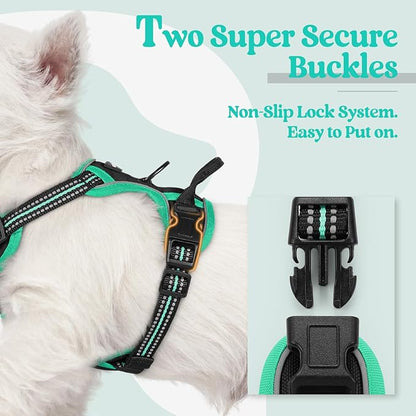 rabbitgoo Dog Harness No Pull with 2 Leash Clips, Adjustable Soft Padded, Reflective Oxford No Choke Pet Vest with Easy Control Handle for Puppy, Black &amp; Turquoise, XS