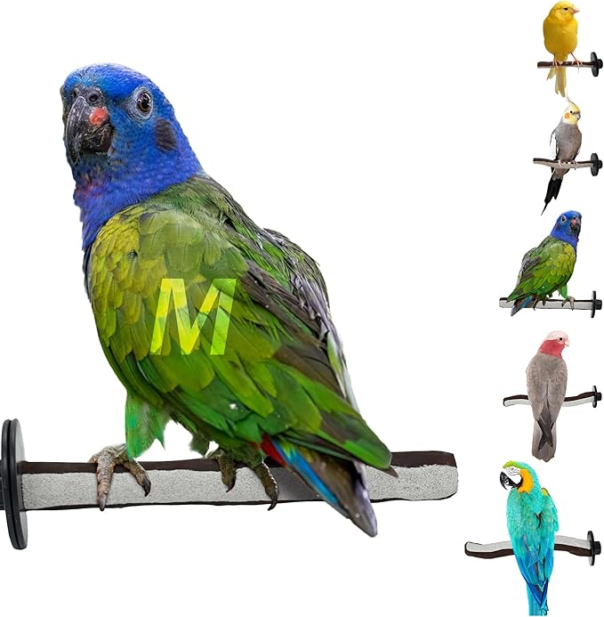 Superoost Manzanita Pumice Pedicure Perch- Easy to Install Bird Cage Accessories for Healthy Feet, Nails and Beak - Natural Bird Perches Imitates Birds&