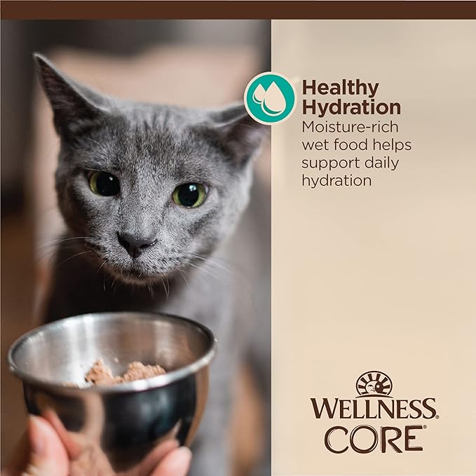 Wellness CORE Tiny Tasters Flaked Adult Wet Cat Food, Natural, Protein-Rich, Grain Free, 1.75-Ounce Pouch, 12 Pack, (Tuna &amp; Salmon)