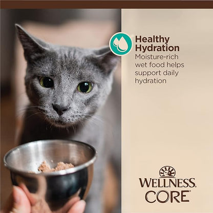 Wellness CORE Tiny Tasters Flaked Adult Wet Cat Food, Natural, Protein-Rich, Grain Free, 1.75-Ounce Pouch, 12 Pack, (Tuna &amp; Salmon)