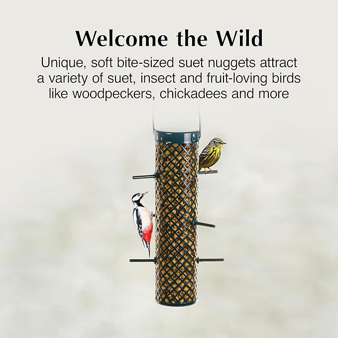 C&amp;S Sunflower Suet Nuggets, Suet Nuggets for Wild Birds, 27 Ounces