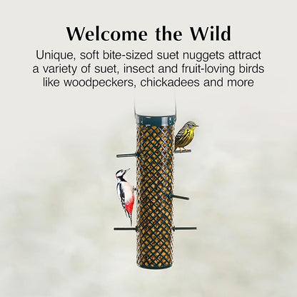 C&amp;S Sunflower Suet Nuggets, Suet Nuggets for Wild Birds, 27 Ounces