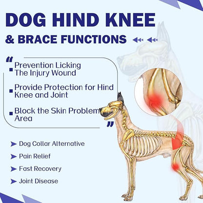 ROZKITCH Dog Surgery Leg Sleeve Rear Legs, Male Female Pet Prevent Licking Wound Elbow Knee Protector, Dog Recovery Suit Cone Collar Alternative Pants Shirt for Wound Heal Wrap Rosered M