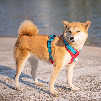 PHOEPET No Pull Dog Harness, Unique Colors Reflective Adjustable Dog Vest, with Soft Training Handle Metal Clips for Small Medium Large Dogs (Red Base &amp; Teal Straps,S)