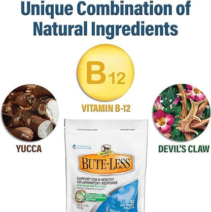 Bute-Less Comfort &amp; Recovery Supplement Pellets, Healthy Inflammatory Response, 2 lb / 32 Day Supply