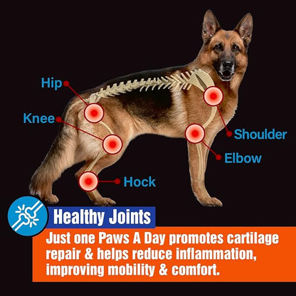 Glucosamine for Dogs Hip &amp; Joint Supplement – “Two-in-One Combo” Dog Joint Care and Improved Skin &amp; Coat with Chondroitin, MSM, Omega 3, Collagen &amp; Biotin, 60 Chewable Tablets