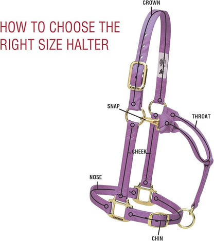 Weaver Equine Breakaway Horse Halter, Supple Leather Crown, Adjustable Chin &amp; Throat Snap Halters for Horses, Equine Tack,Pony Size, Black