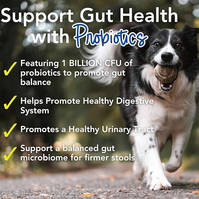 iHeartDogs 24-in-1 Adult Dog Multivitamin Daily+ Total Health Support Powder with Probiotics, Omega-3, Glucosamine, Mushrooms &amp; Bone Broth - 60 Servings