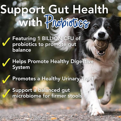 iHeartDogs 24-in-1 Adult Dog Multivitamin Daily+ Total Health Support Powder with Probiotics, Omega-3, Glucosamine, Mushrooms &amp; Bone Broth - 60 Servings